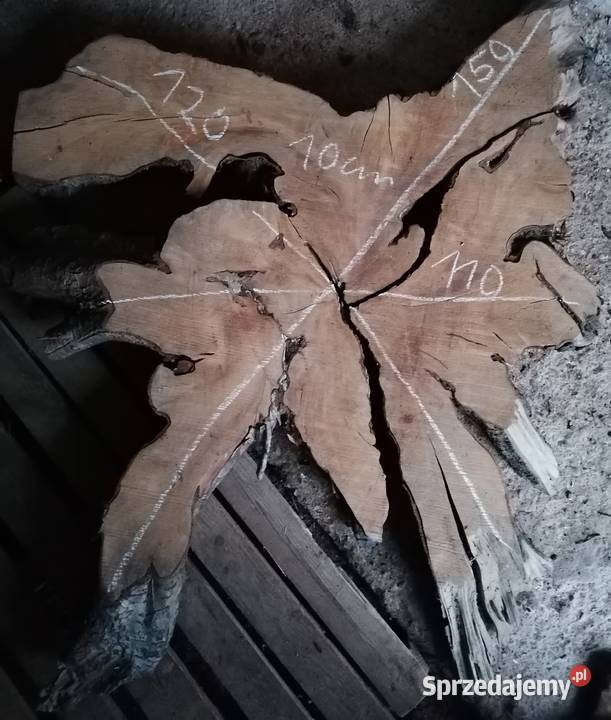 Suche plastry drewna orzech czereśnia jabłoń dąb Kamyk