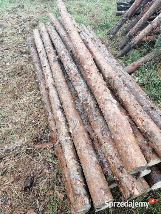 Stemple budowlane sosnowe nowe Możliwy transport Sompolno sprzedam