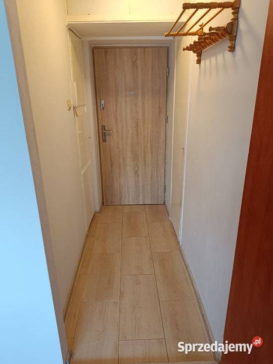 Przytulna kawalerka w ścisłym centrum Wrocławia cegła Sprzedaż Wrocław