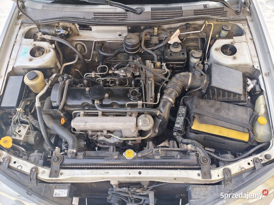 Nissan Primera 20 TD 90 2001r Lublin