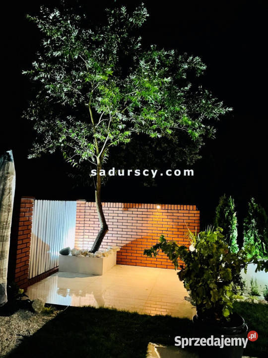 Dom szeregowy Józefosław 285m2 Liczba pokoi 6