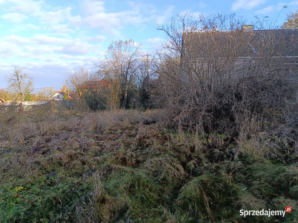Rębak do gałęzi wycinka drzew mulczer leśny świętokrzyskie