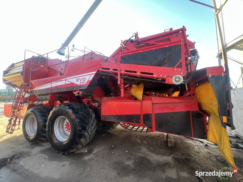 Kombajn do ziemniaków Grimme EVO 290 AirSep 2017 Nowa Wieś Książęca sprzedam