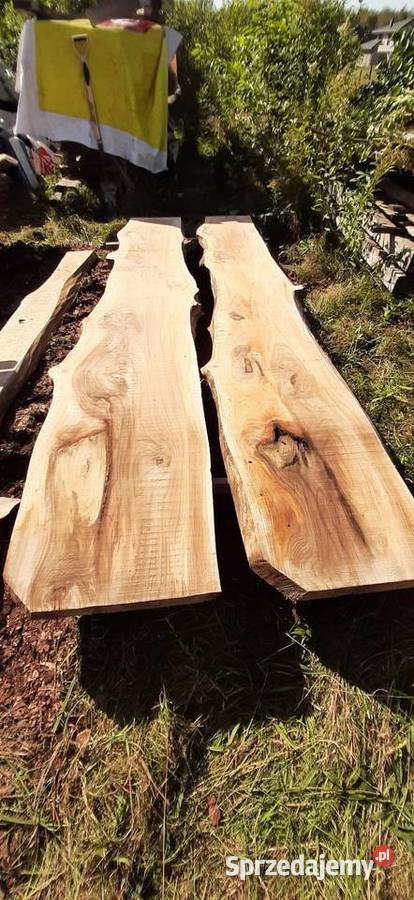 Wiąz deski bale brusy wiązu Rzeszów