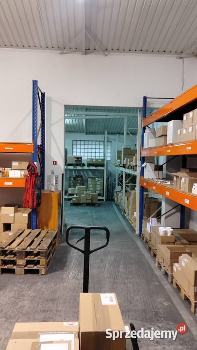 Wynajmę halę w Redzie Pieleszewo 520m2