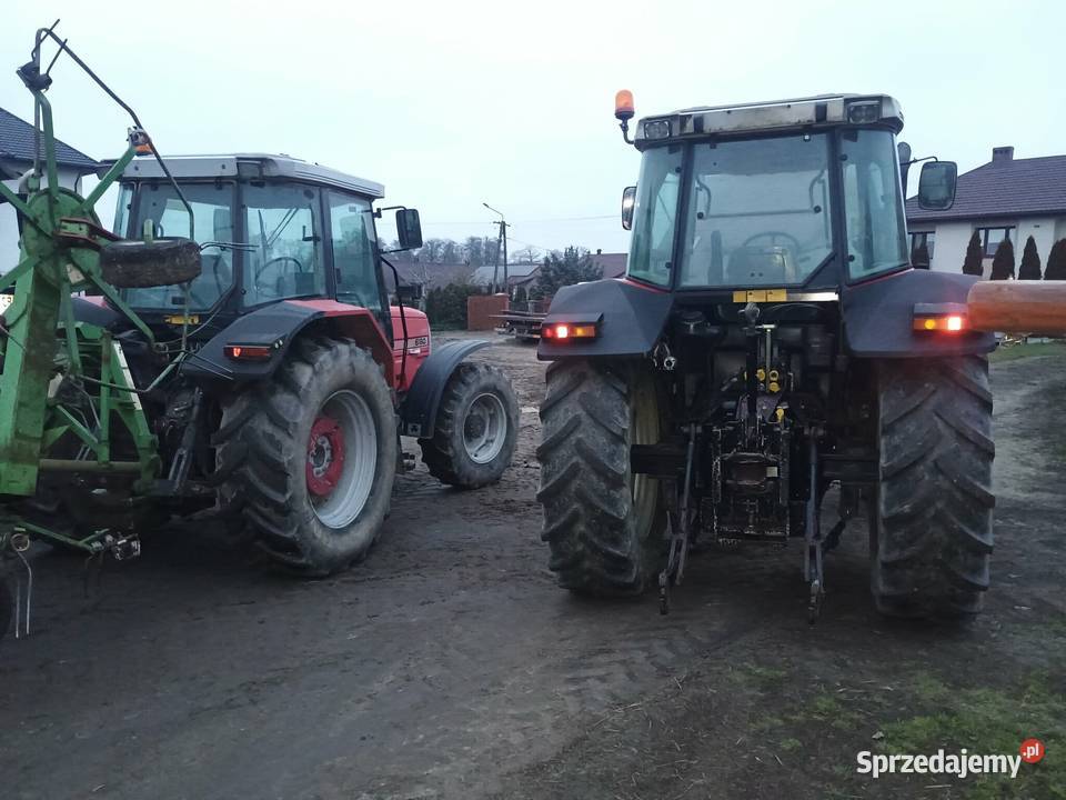 Massey Ferguson do wyboru Massey Ferguson Ostrów Mazowiecka