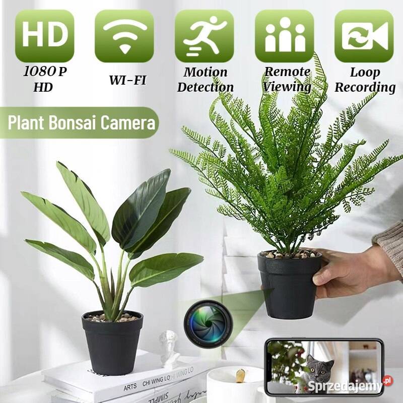 Kamera szpiegowska ukryta w kwiatku donicy Wrocław