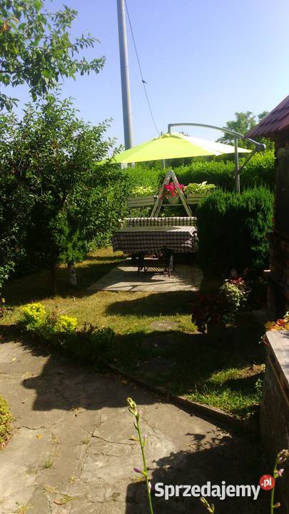 działka rod śląskie Mikołów sprzedam