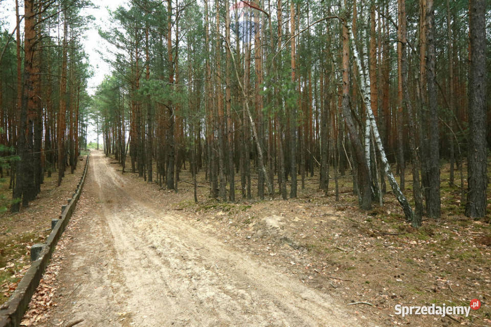 Działki pod przyszłe inwestycje Warszawa Wesoła Sprzedaż