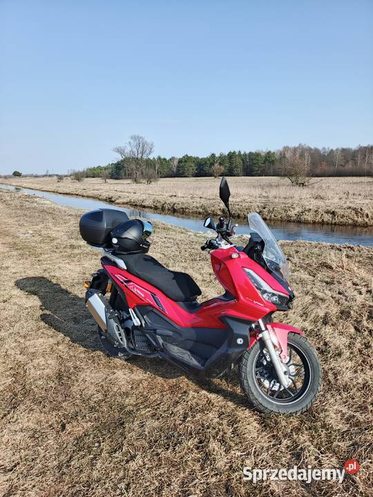 Barton XTRAIL nieuszkodzony Włodawa