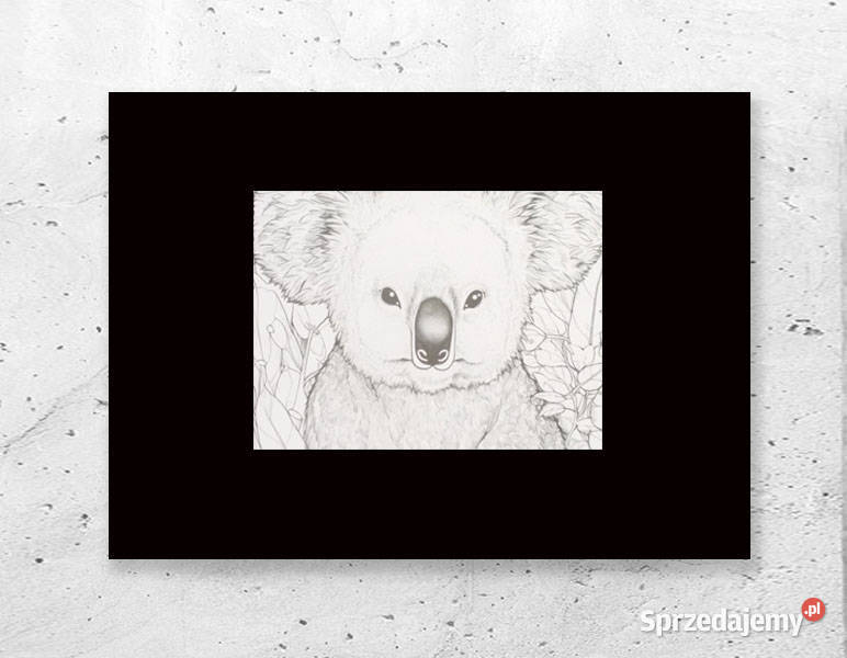 czarno biały plakat A4 miś koala obrazek 21x30 Plakaty