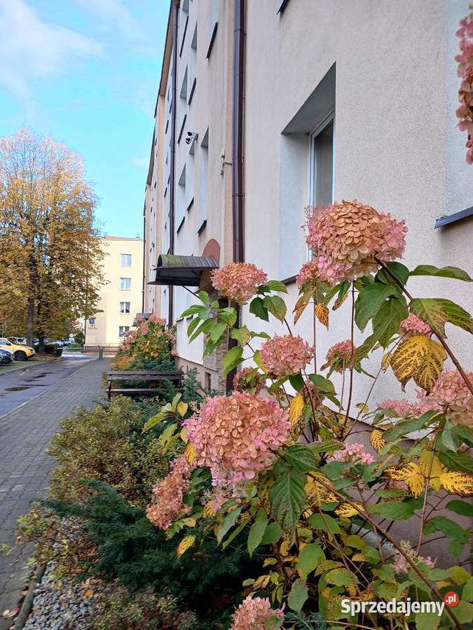 Hetmańska przestronne 68 m2 w centrum Rzeszów sprzedam