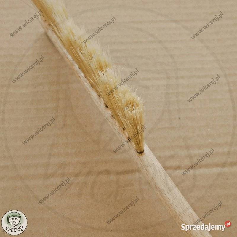 Zmiotka Pszczelarska Miotełka Profilowana podkarpackie