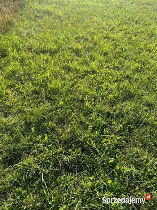 Działkę sprzedam Darłowo 300m2 Sprzedaż sprzedam
