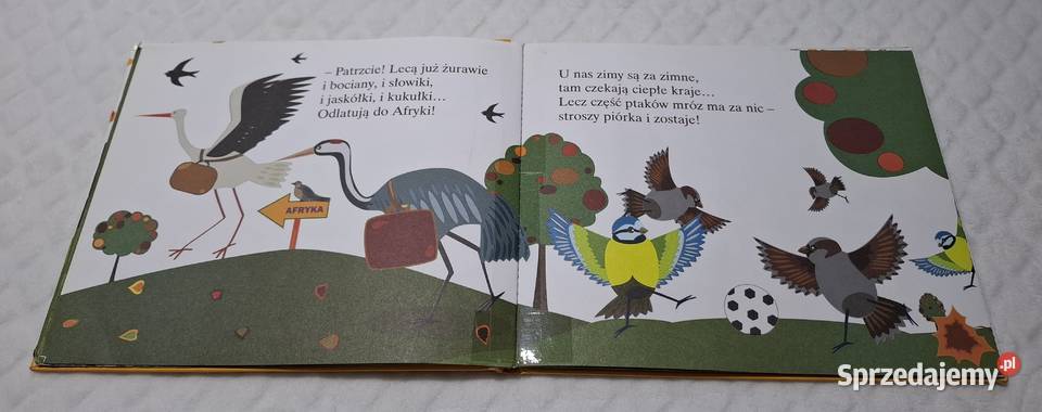 ABC Uczę się Jesień Strzałkowska Hachette 2007