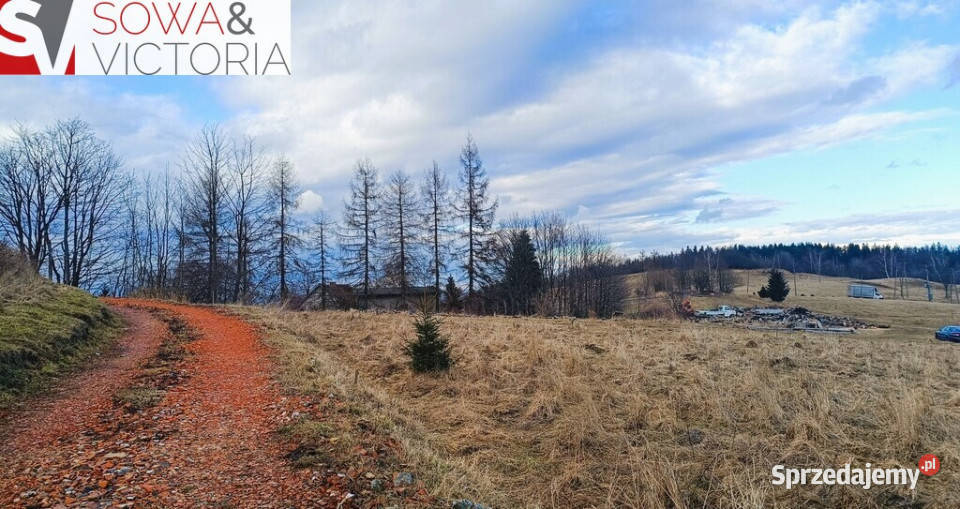 Widokowa działka na obrzeżach Wałbrzycha Wałbrzych