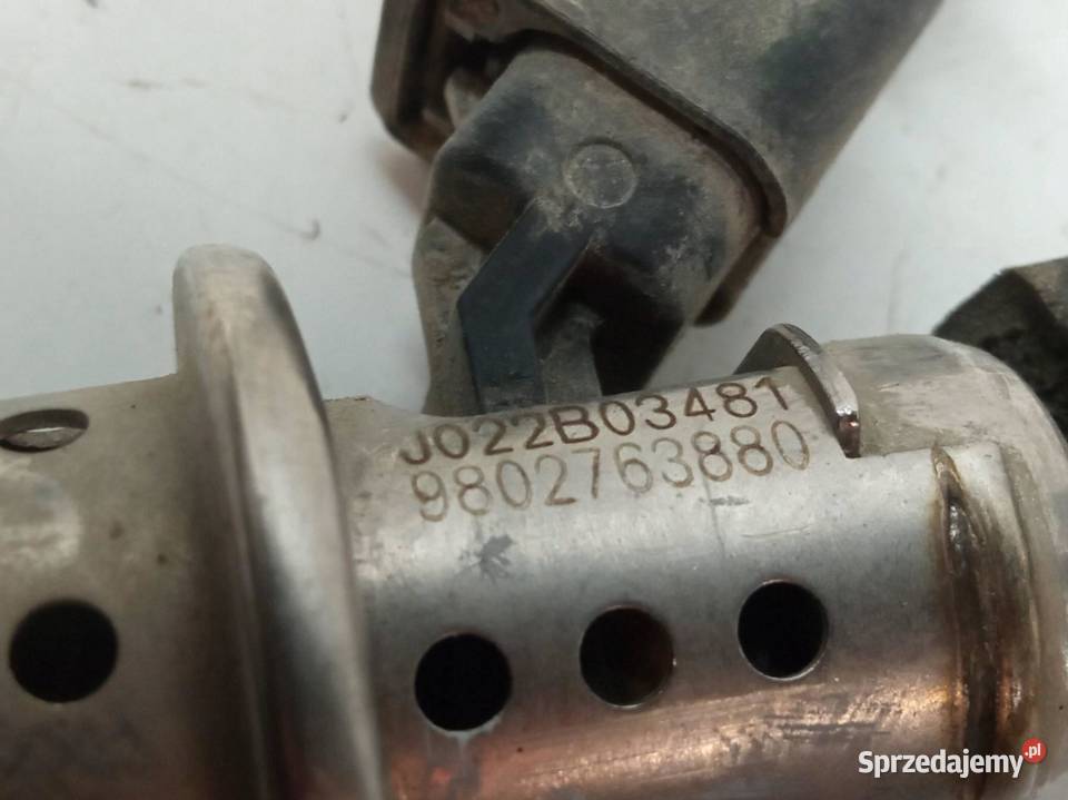 WTRYSKIWACZ ADBLUE 9802763880 Peugeot Partner II Wtryskiwacze sprzedam