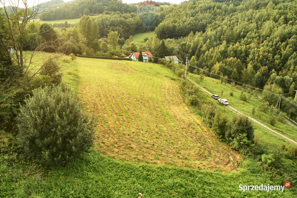 Działka budowlana 43 ary Ochotnica Dolna małopolskie