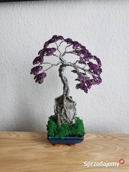 Fioletowe bonsai Doskonały prezent na święta 35 odcienie fioletowego dolnośląskie