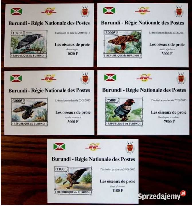 Burundi papugi Oborniki