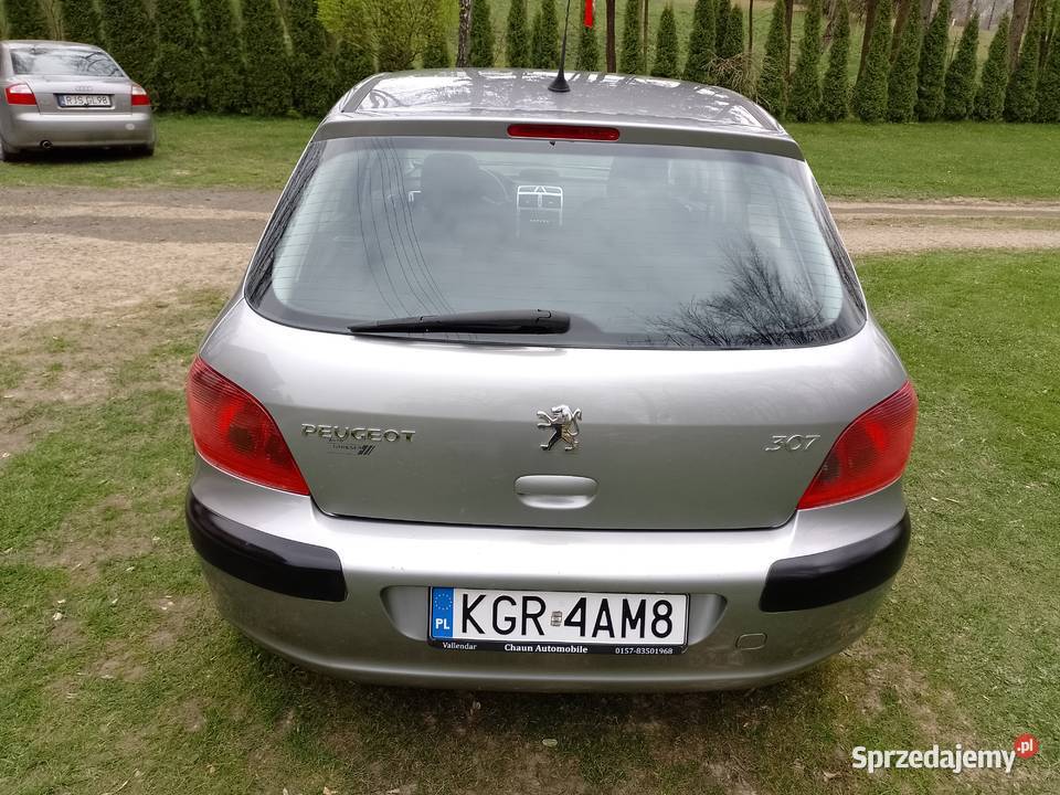 Peugeot 307 2005r Benzynka 1400 16V Jasło