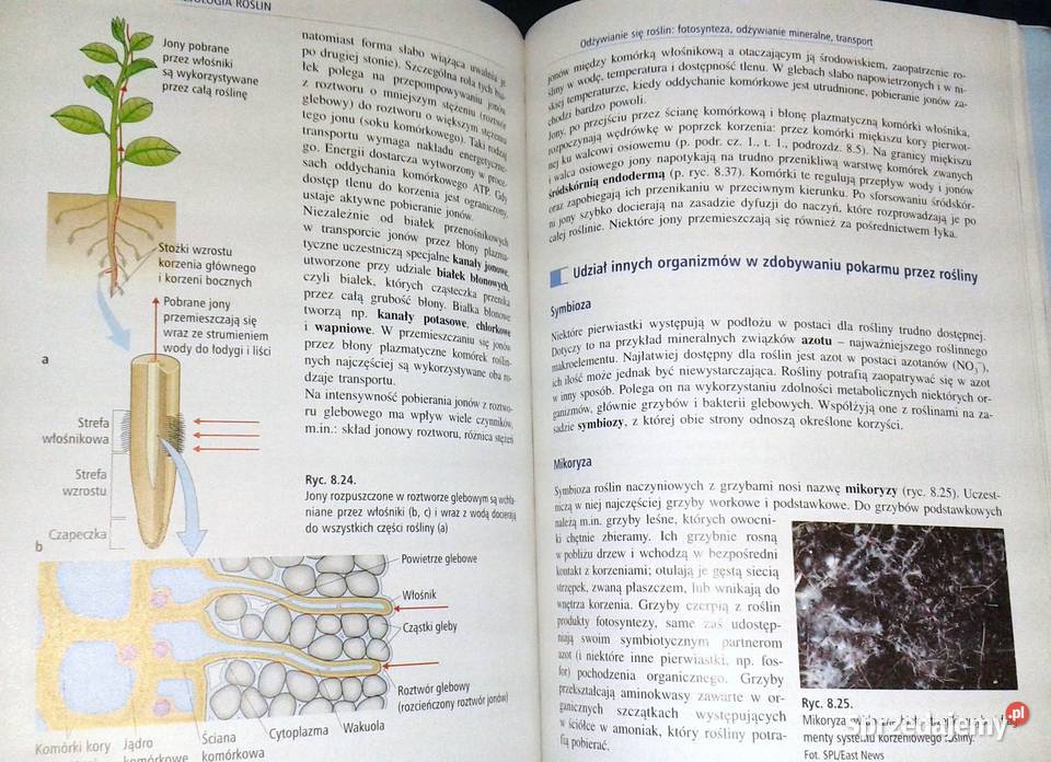 Biologia Cz 2 Podręcznik Tom 1 K Starońi inni Pozostałe