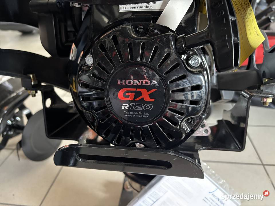 STOPA WIBRACYJNA CEDRUS SKOCZEK UBIJAK