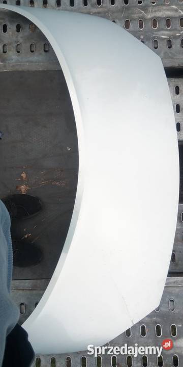 Maska przednia RENAULT SCENIC 2 srebrny bez Części Margonin