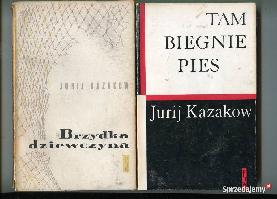 Brzydka dziewczyna tam biegnie pies Jurij miękka z obwolutą