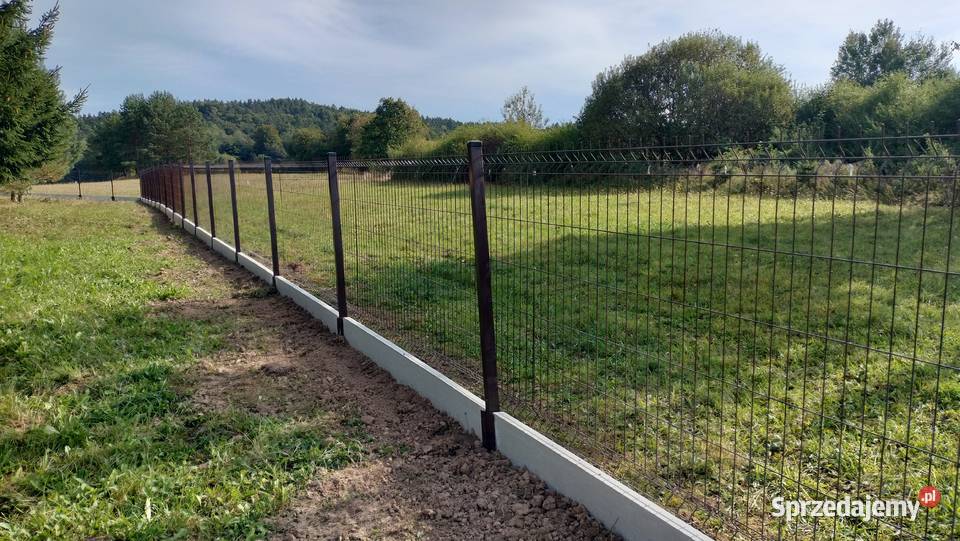 Panel ogrodzeniowy 133x250 fi4m ocynk kolor