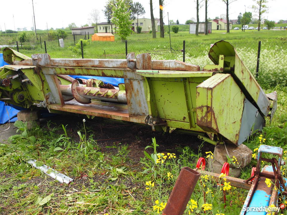 Heder do kukurydzy 5 rzędowy CLASS Zielona sprzedam