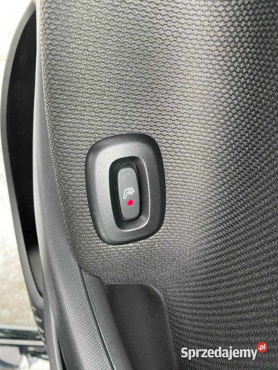 Smart Forfour skóra LED panorama podgrz fot navi klimatyzacja Żory