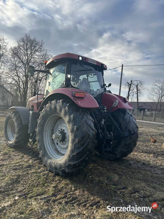 Case IH puma 195 cvx Łysakowo