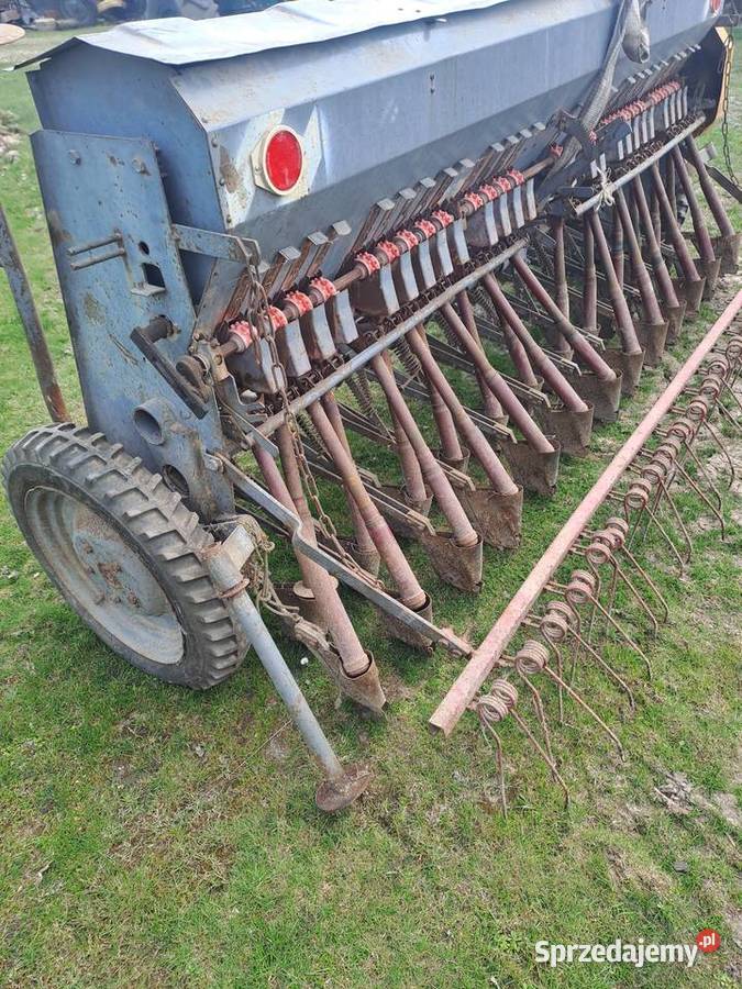 Siewnik zborzowy poznaniak Dzierżoniów