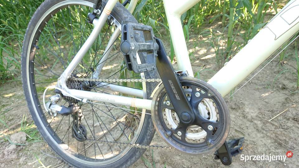 Rower DBS Edge Shimano SR Suntur