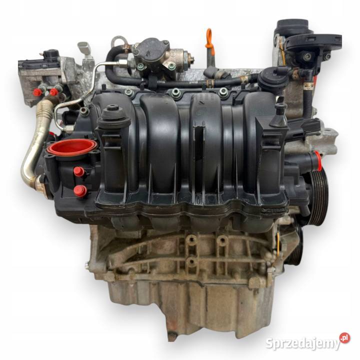 SILNIK BLN VW Golf V Plus 14 FSI 90 benzyna Chełm