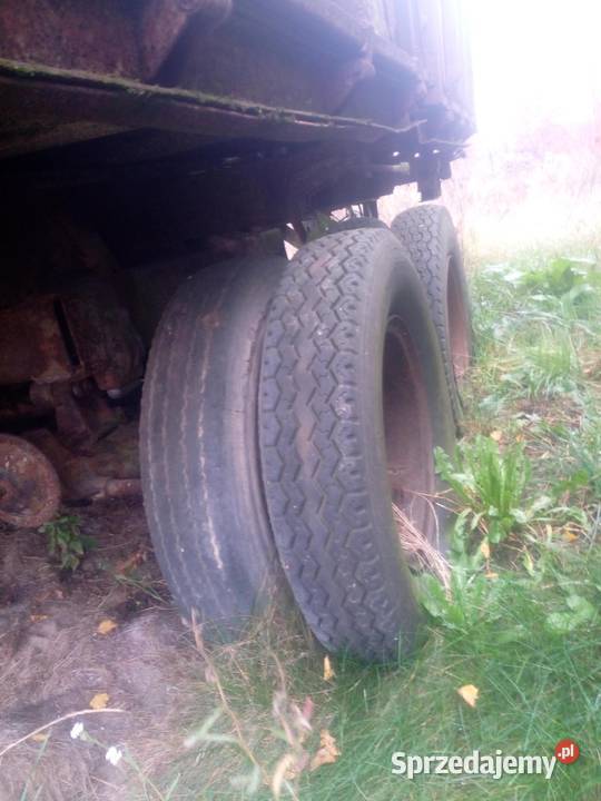 Przyczepa tandem PTS9 Więcbork sprzedam