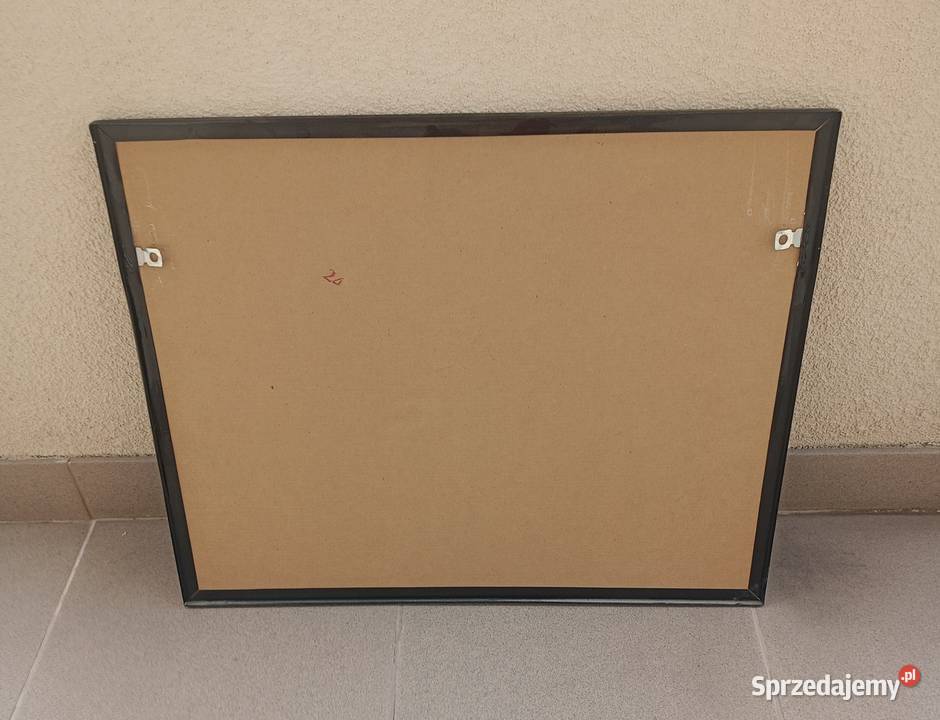 Obraz reprodukcja na ścianę 50 40 Przyroda małopolskie sprzedam