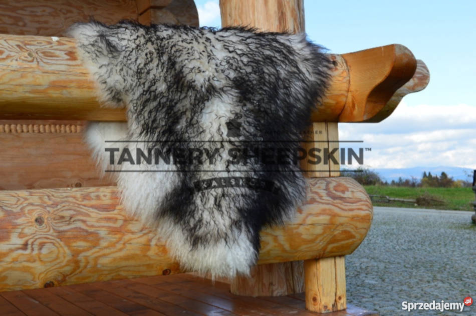Skóra Owcza Island Muflon Naturalnie Kręcona wielokolorowy Szaflary sprzedam