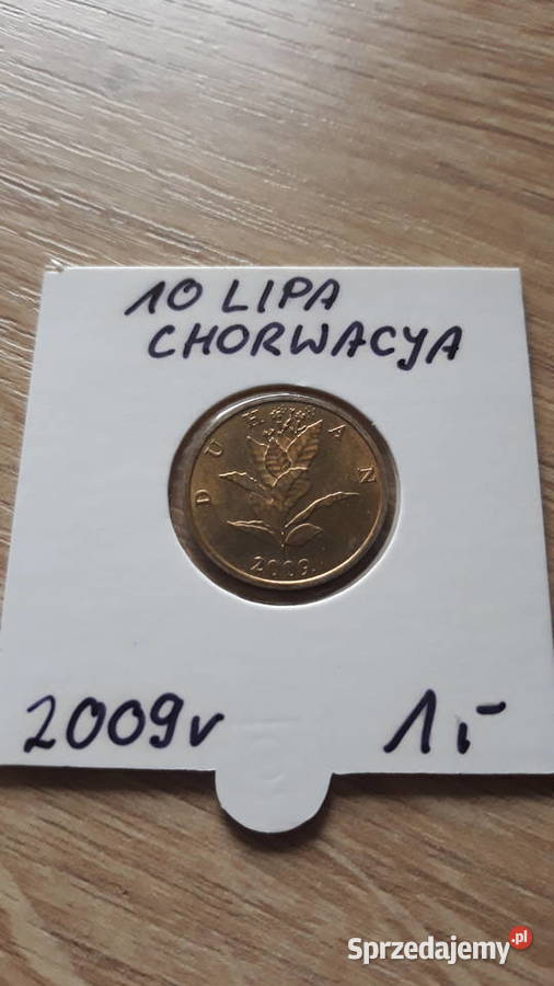 10 Lipa Chorwacja 2007 r 2009 r2011 r Konin