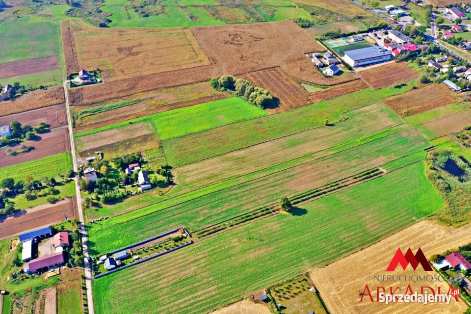 Ogłoszenie działka Lipno 5765m2 kujawsko-pomorskie sprzedam