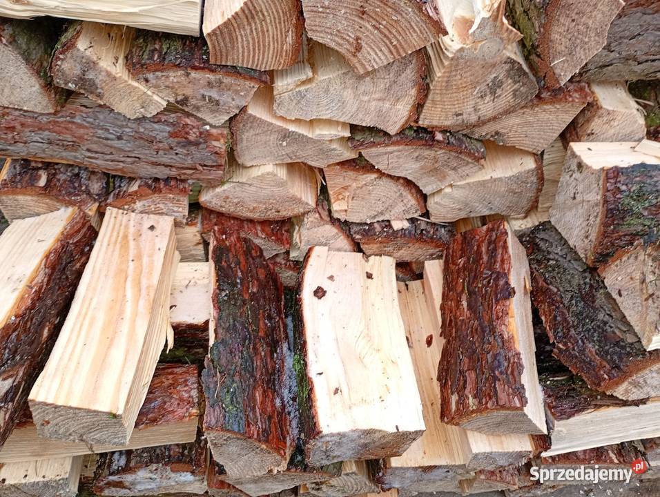 Sosna opałowa Siekierki Małe