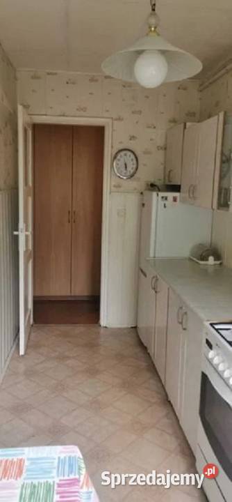 2pok 50met Placu Kromera PEŁEN ROZKŁAD Wrocław kamienica