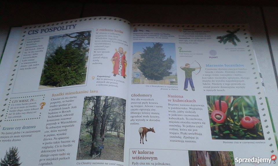 Krzewy Leśne Książka dzieci Wieprz