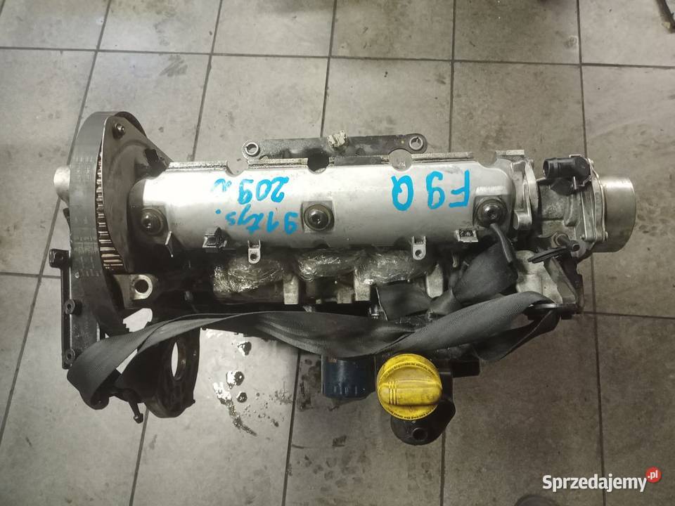 Silnik Renault 19 DCI 130 F9Q 2009r Suchedniów