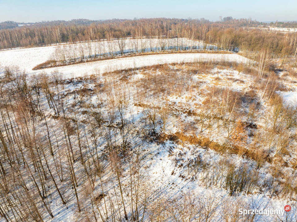 Rolna w urokliwej okolicy 8082m2 małopolskie Czułów