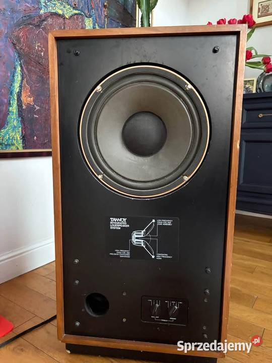 Kolumny Tannoy Cheviot Częstochowa