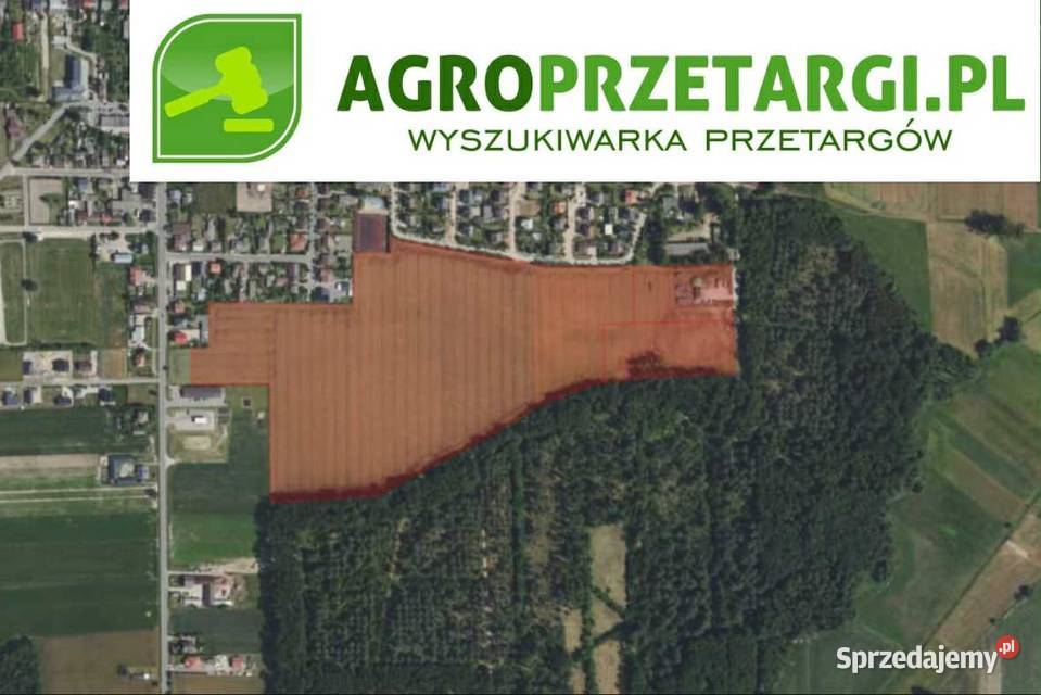 Dzierżawa 1192 ha gruntu rolnego Łowicz