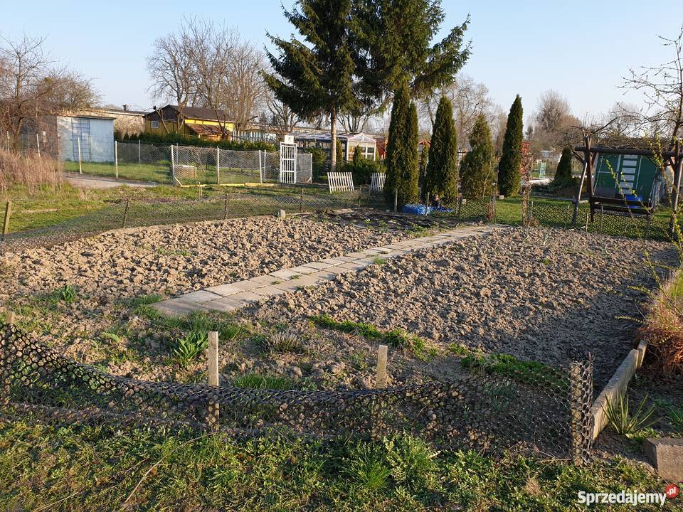Działka ROD rekreacyjna ogrodowa Malbork