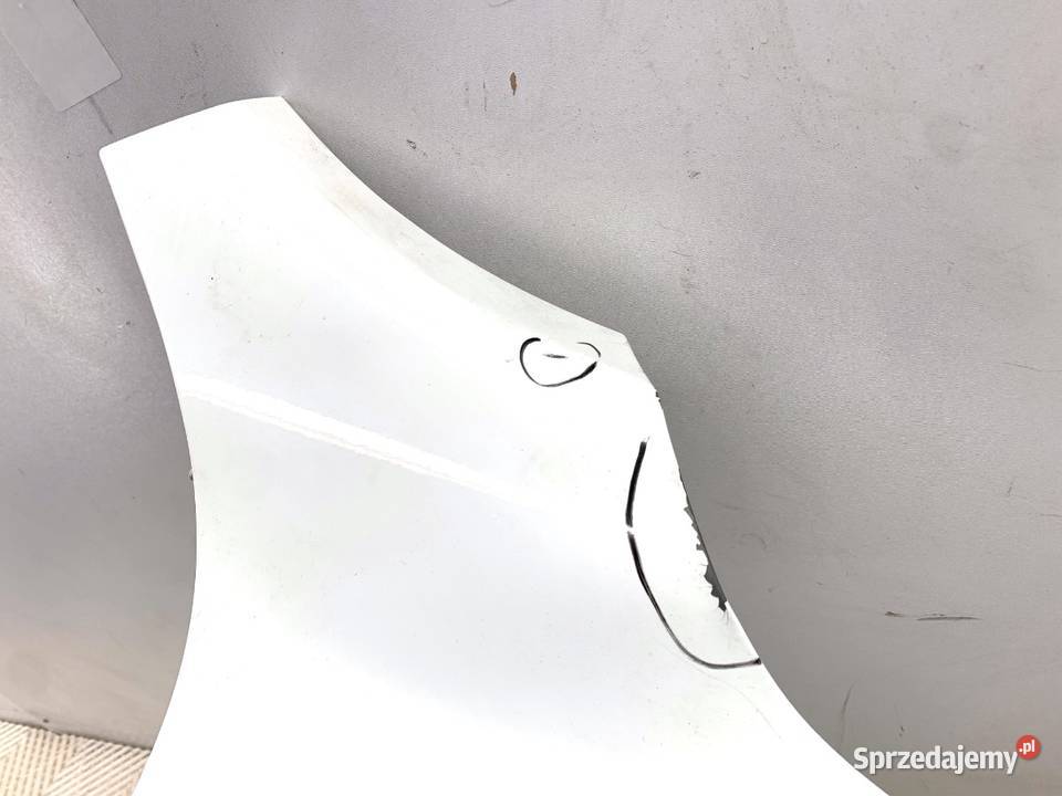 BŁOTNIK PRAWY PRZÓD NISSAN JUKE F15 Crossover osobowe sprzedam